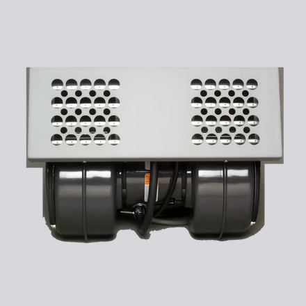 Fan based ionizer with twin blowers